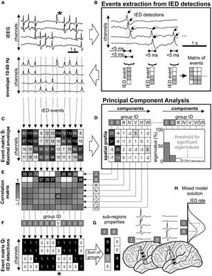 The Sub-Regional Functional Organization of Neocortical Irritative Epileptic Networks in Pediatric Epilepsy